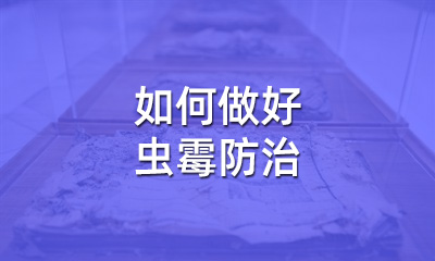 檔案修復(fù)后，如何做好蟲霉防治